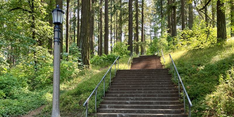 Light post and trail in Mt. Tabor Park